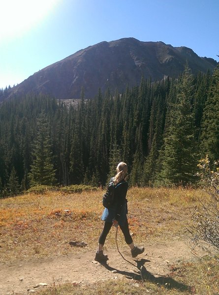 Scenery starts to become more alpine once you emerge from the forest