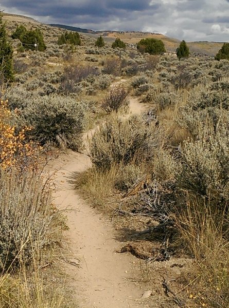 Looking across scrubland to the north