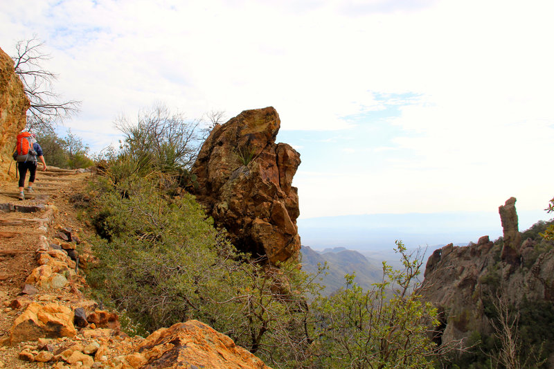 Trails through Boot Canyon