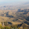 Agave on the top of South Rim.