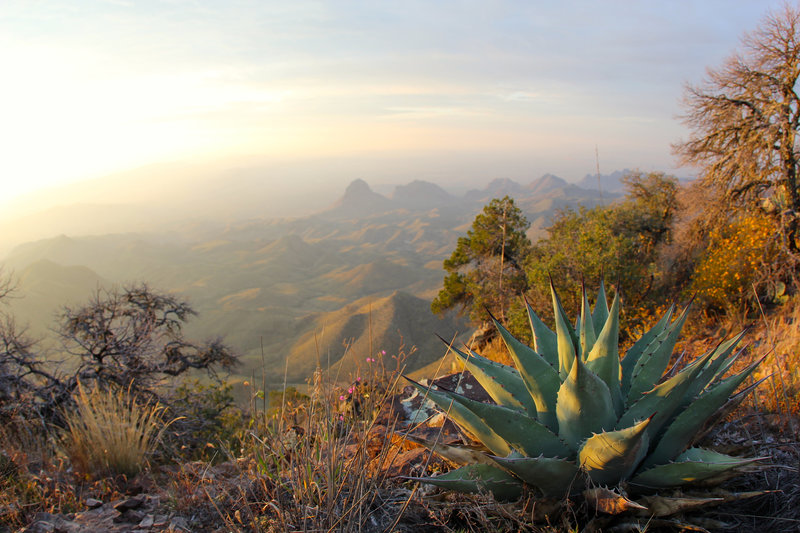 South Rim overlook, Big Bend Nat'l Park