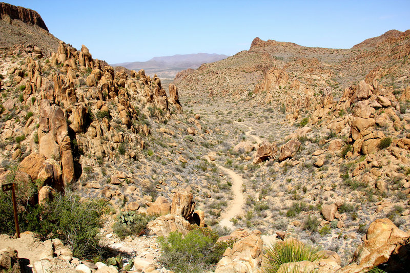 Grapevine Hills Trail.