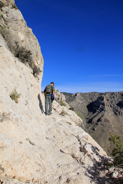 Cliff drop offs by trail!