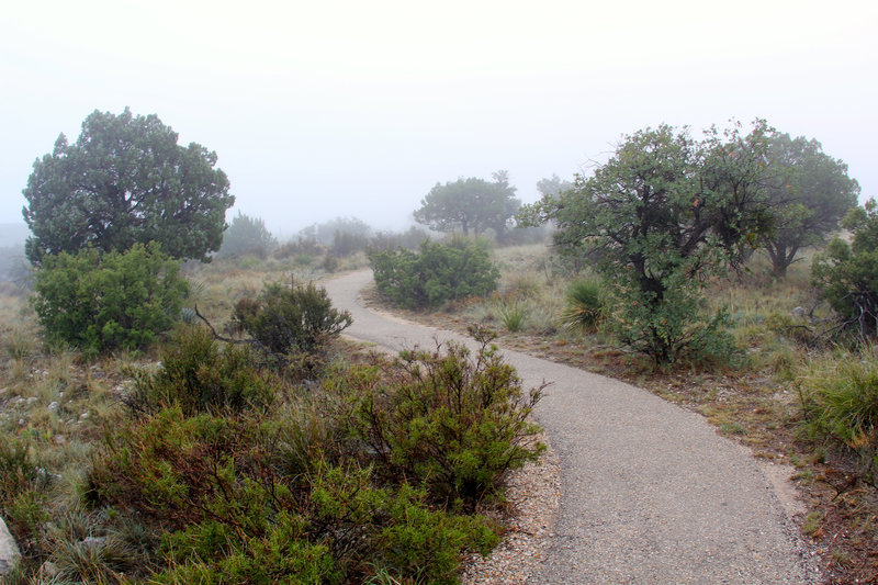 Pinery Trail tracks.