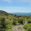 Near the Mt. Rogers summit.