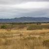 A view of the Wellsvilles standing over Cache Valley