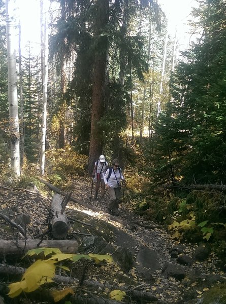 Hikers enjoying the Cross Creek Trail in early fall