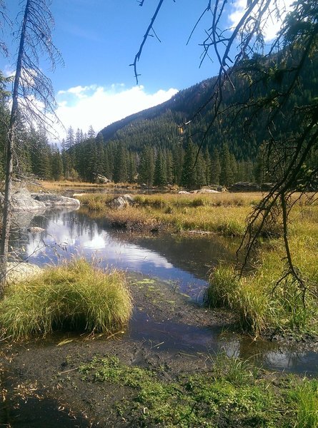 Marshy "lake" along the Cross Creek Trail