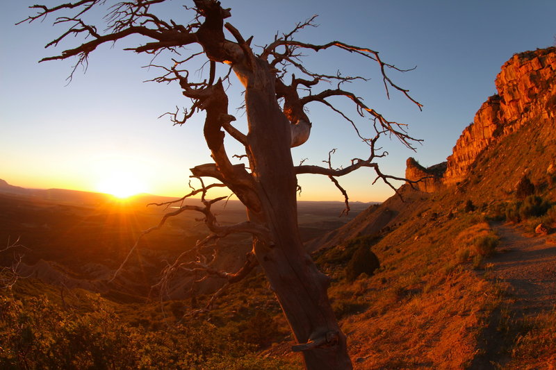 Sunset on the north slope of Mesa Verde