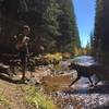 Stream at 6 mile point.