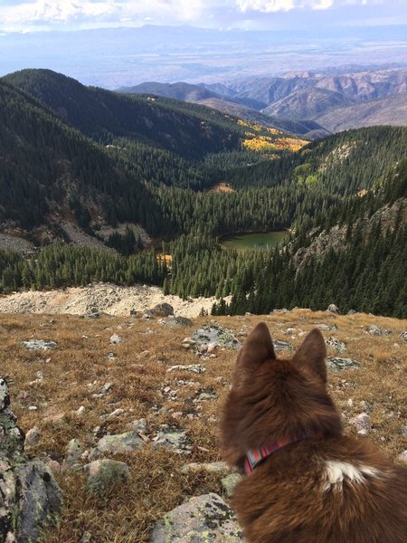 A lake, some colorful leaves and a summit.  Three good things to make a run memorable.