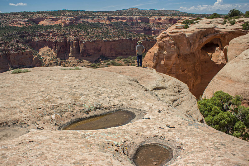 Rattlesnake Arches.