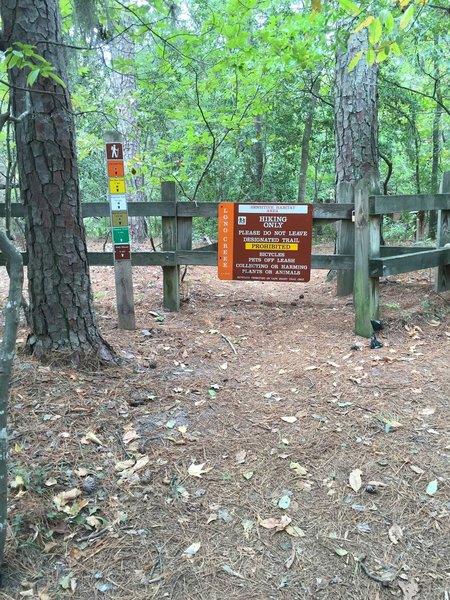 Ending point of Long Creek Trail where it joins the park road.