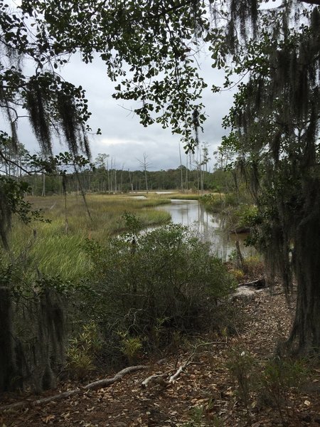 White Hill Lake drainage into Broad Bay.