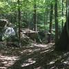 Cool exposed boulders on the north side of Crabtree Creek