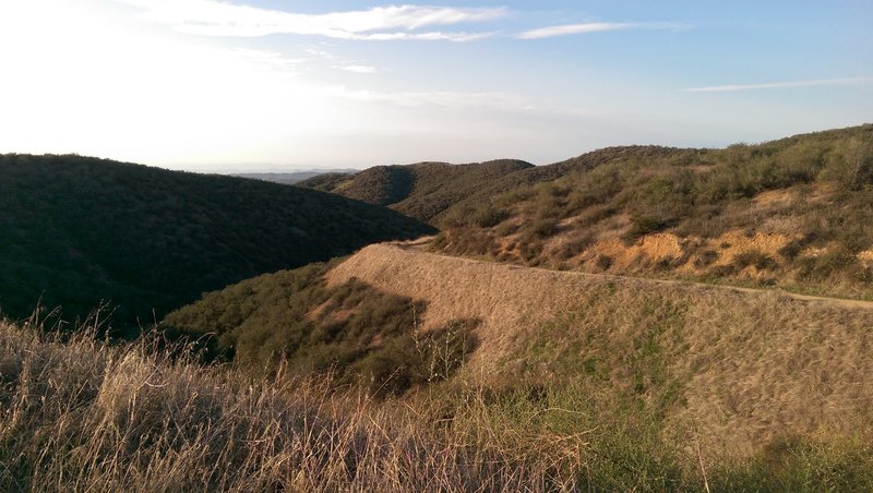 Looking south back along the trail about 2 miles in from the start.