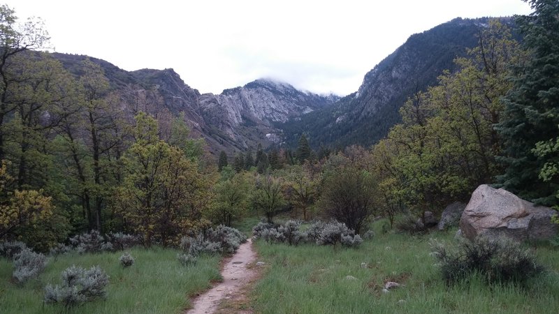 Side trail leading into Bell Canyon