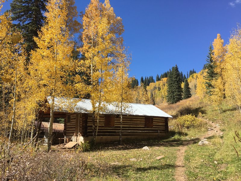 This old log cabin is the property of the San Juan National Forest. Look for the trail junction just beyond the cabin.