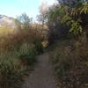 The trail heading toward Spring Hollow from Third Dam.