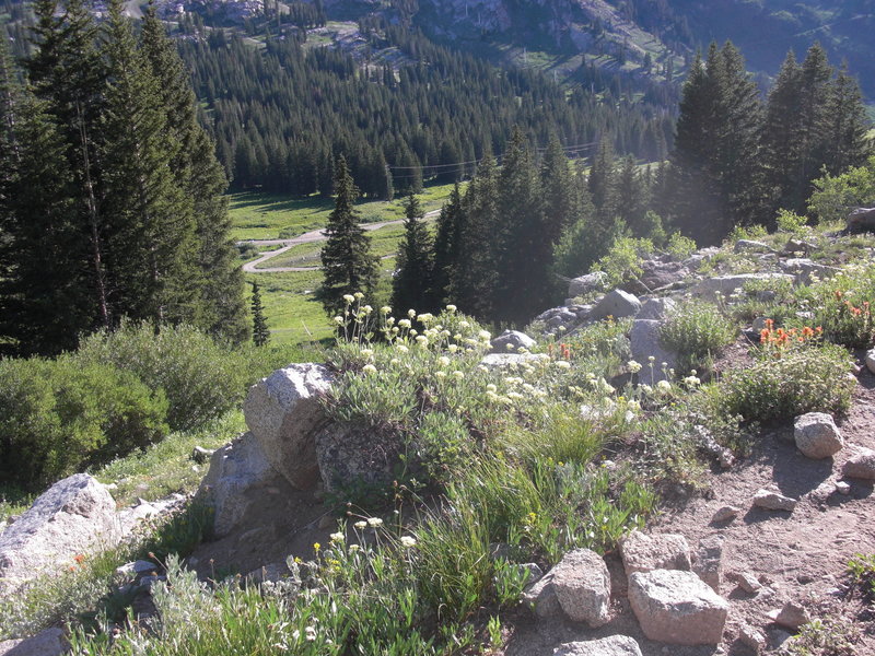 Looking back on the way to Catherine Pass.