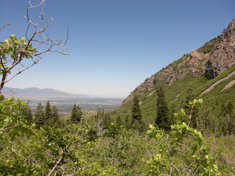 View along the Bells Canyon Trail.