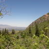 View along the Bells Canyon Trail.