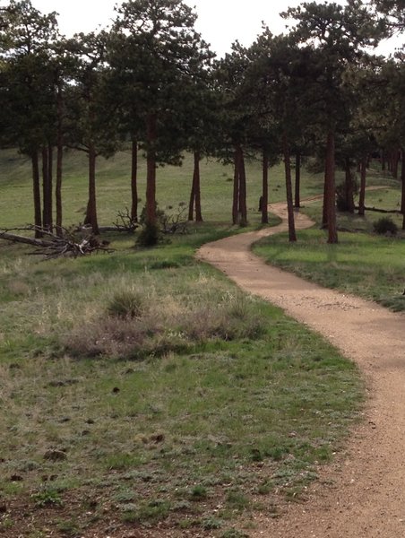 The trail is smooth and wide through the trees to finish the Canyon loop.