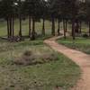 The trail is smooth and wide through the trees to finish the Canyon loop.