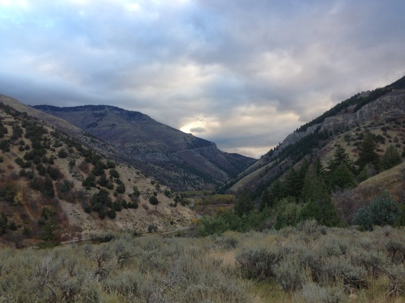 A view up Logan Canyon from the Mill Hollow Trail