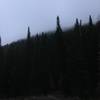 Low clouds hanging over the trees near the top of the Spring Hollow Trail.