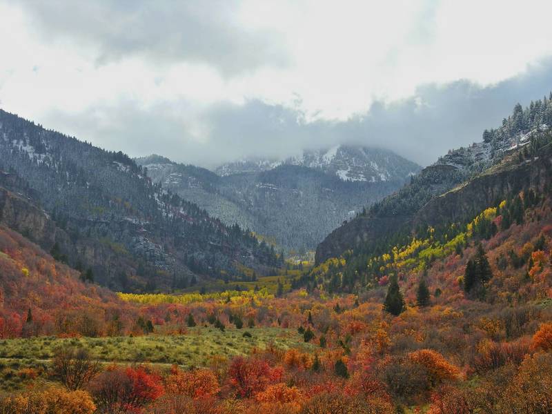 Mill Hollow in the Fall