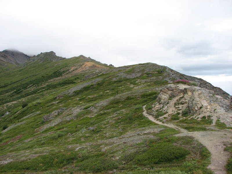 Denali: Mt Healy.