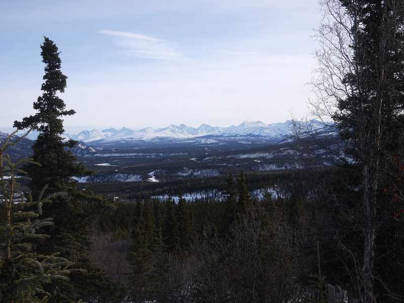 Headed up Mt. Healy.