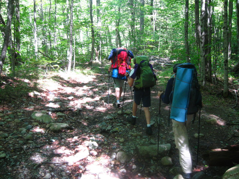 Hiking along the Pemi.