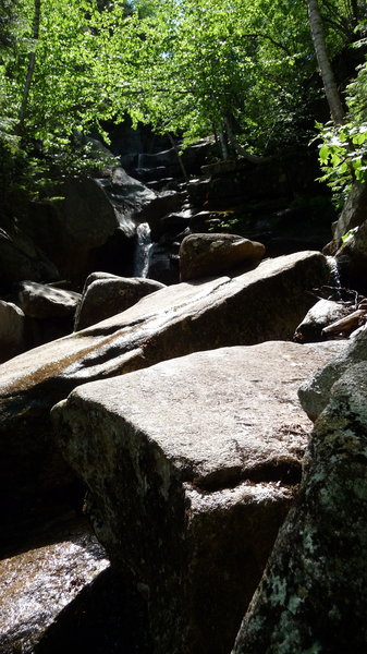 The steps on Champney Falls Trail.