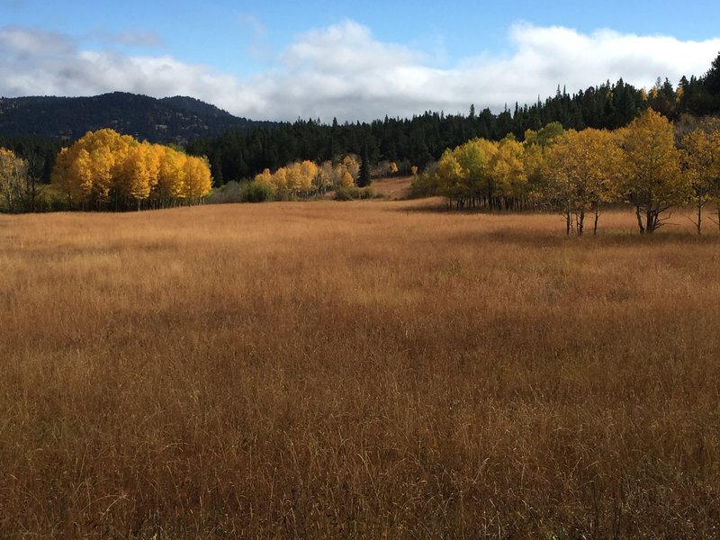 The fall brings out nice colors in and around the large meadow.