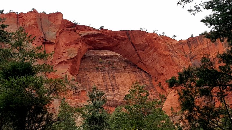 Kolob Arch