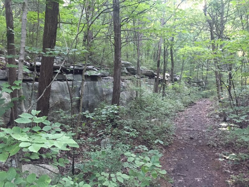 Abandoned railroad bed that was converted into a trail.