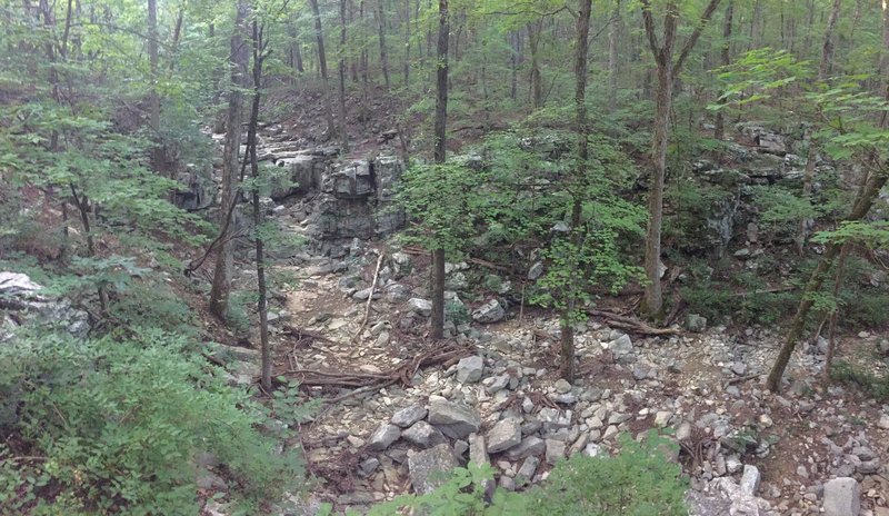 View of Fagan Creek.