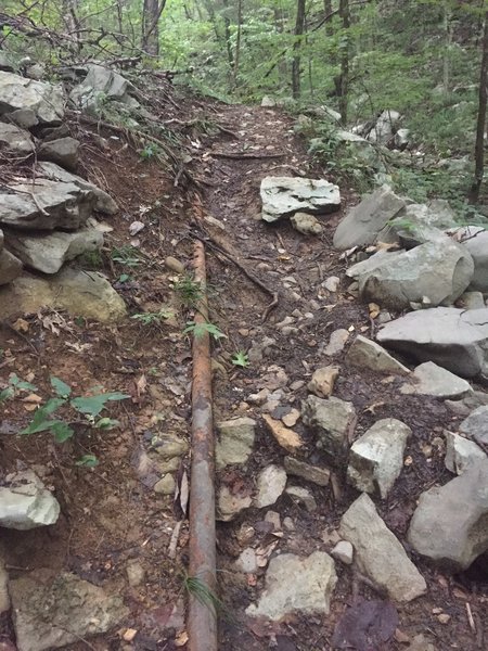 Old water pipe from the waterline that give this trail its name.