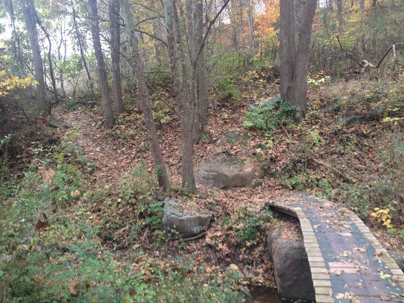 The first of many bridges on the Cisler Trail.