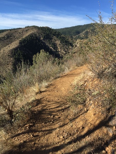 Heading up Mayhem Gulch.