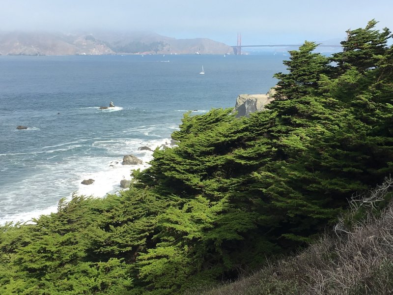 One of the many views of the Golden Gate