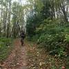 A bicyclist rides up Holman Lane. Bikes may only go uphill on this trail and many use it for training as it is quite steep much of the way.