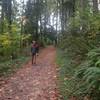 A runner nears the junction of the Wildwood Trail near the bottom of Holman Lane.