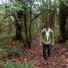 A hiker nears the Wildwood near the top of the Alder Trail.