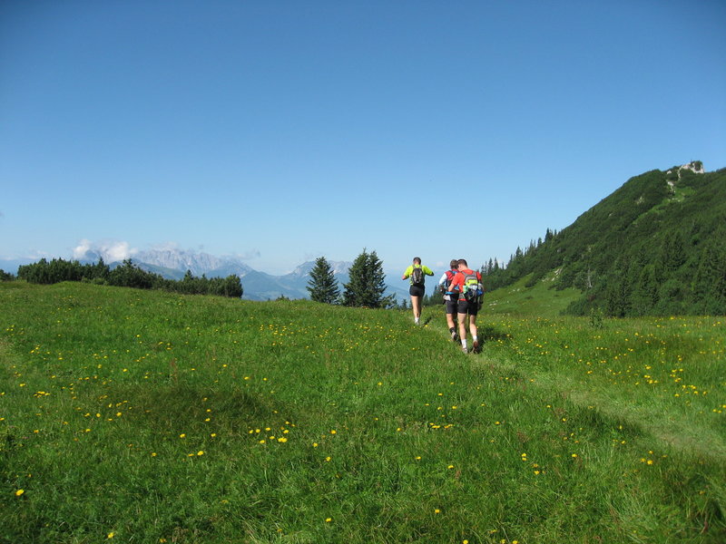 Hörndlwand meadow (60 miles).