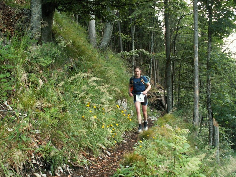 Along the Rauschberg mountain flank.