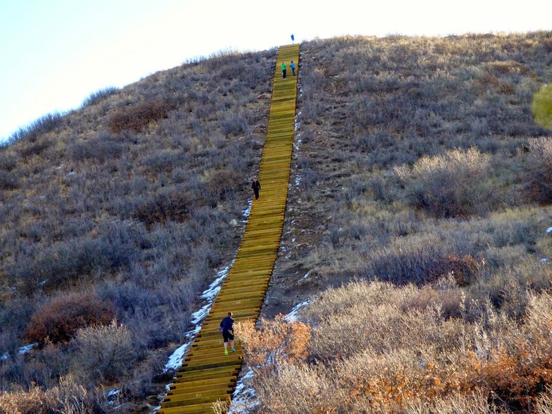 Challenge Hill on the Blue Loop- 200 steps!