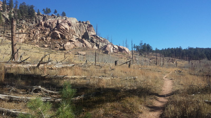 Rock outcroppings along Morrison Creek Trail.